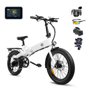 ZL2006 750W electric bicycle, foldable, portable, equipped with 20-inch fat tyres, 48V 10.4Ah battery, maximum speed of 20 mph, pedal assist mode range 43 miles. Safe, stable, and comfortable for city riding. Electric bicycle | Foldable | Dual seat