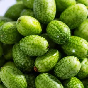 100+ Premium Thumb Watermelon Seeds - Heirloom, Non-gmo for Indoor and Outdoor Gardening