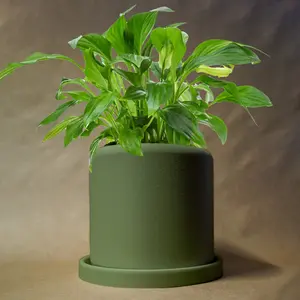 Round Planter with Drainage and Drip Tray, Multiple Sizes and Colors