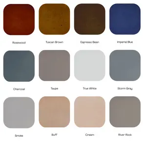 Ten Second Color Acetone Based Stain