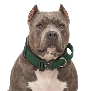 Forest Green Blue Pink Heavy Duty Polyester Dog Collar with Metal Buckle, Durable Padded Training Collar for Pitbull Medium Large Dogs, Adjustable Pet Walking Gear