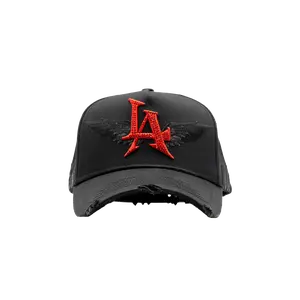LA Wings 1 Year