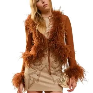 Long Sleeve Mesh Top with Feather Trim - Stylish Brown Top for Women