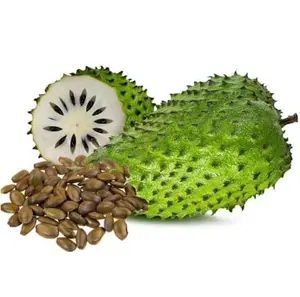 5 Soursop Fruit Tree Seeds for Growing - Great for Bonsai