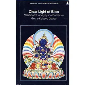 USED-Clear light of bliss: Mahamudra in Vajrayana Buddhism (A Wisdom advanced book) by Kelsang Gyatso (Paperback)