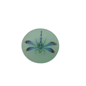 Czech Glass Dragonfly Button 31mm - Sea Green with Blue Wings