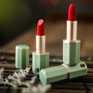 Drawshine Wintersweet Lipstick Gloss Lipgloss