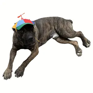 Dog Hatband Fun Propeller, Size and Rope Double Adjustment Pet Cap Suitable for Small, Medium and Large Dogs and Cats (Rainbow Color)