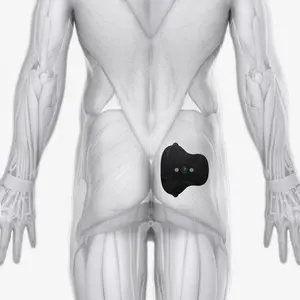 Halo Glute Pad Set Halo Glute Pad Set