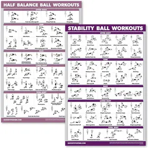 2 Pack Half Balance Ball Workout Poster + Yoga Ball Exercise Chart Set of 2 Workout Posters
