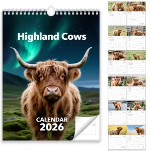 2026 Highland Cow Scottish Fold Wall Calendar Planner, Tear Off Calendar, 12-Month Large Square Grid Layout, Monthly Photos, A4 Size, Home Office Decor