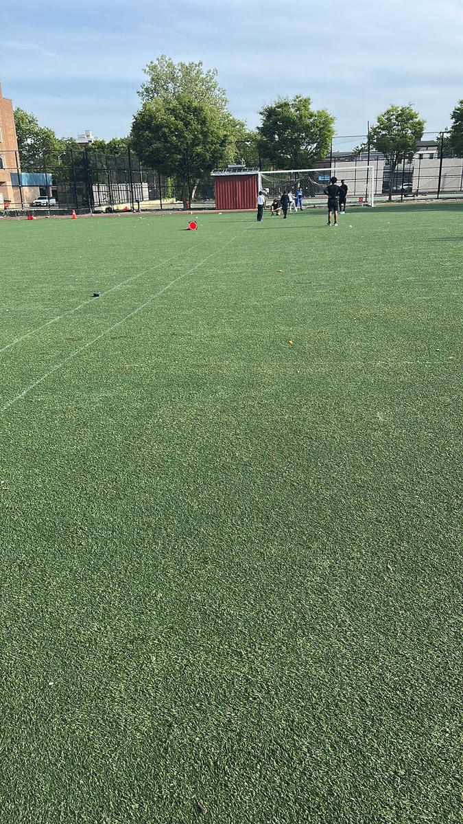 Item: z-014-purple, EU43