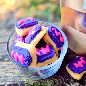 Mini Poptart Bite Wax Melts Wildberry Cheesecake