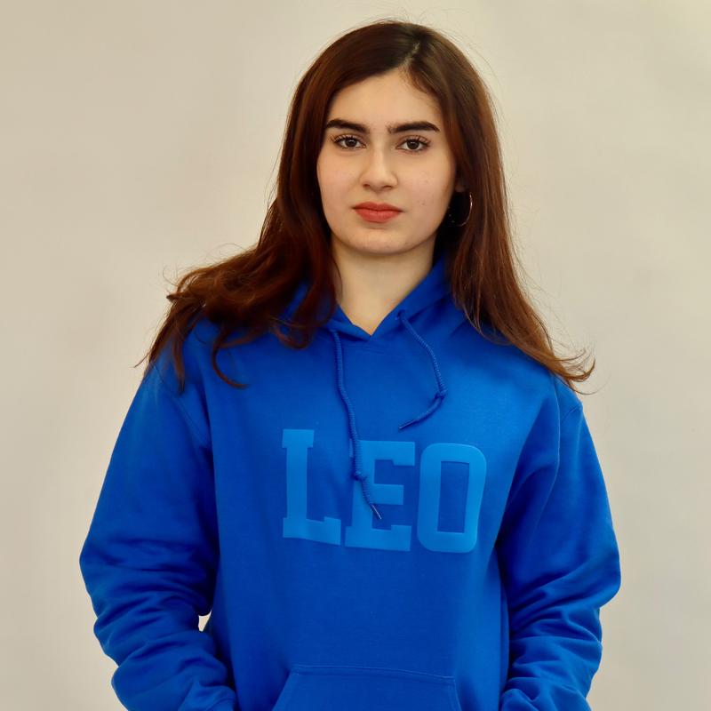 Hoodie:  Zodiac Puff Print Top Unisex Top, Pick Your Color!