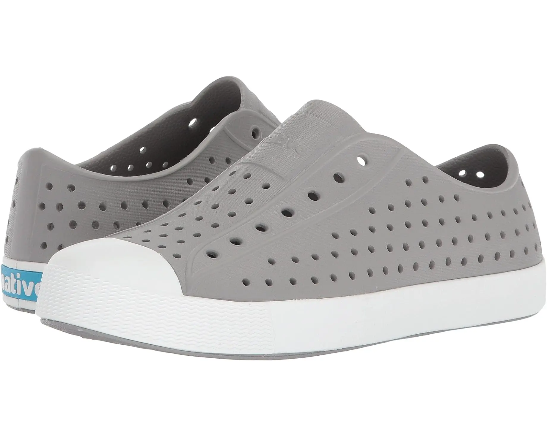 Native Jefferson Pigeon Grey