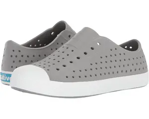 Native Jefferson Pigeon Grey