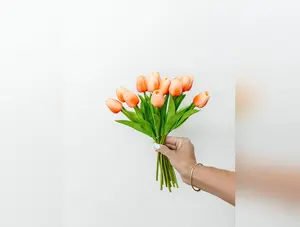 Dark Peach Real Touch Tulips - 13" - 12 Stem Bundle