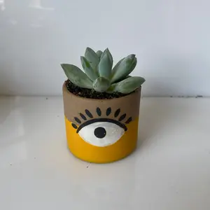 Monster Eye Planter