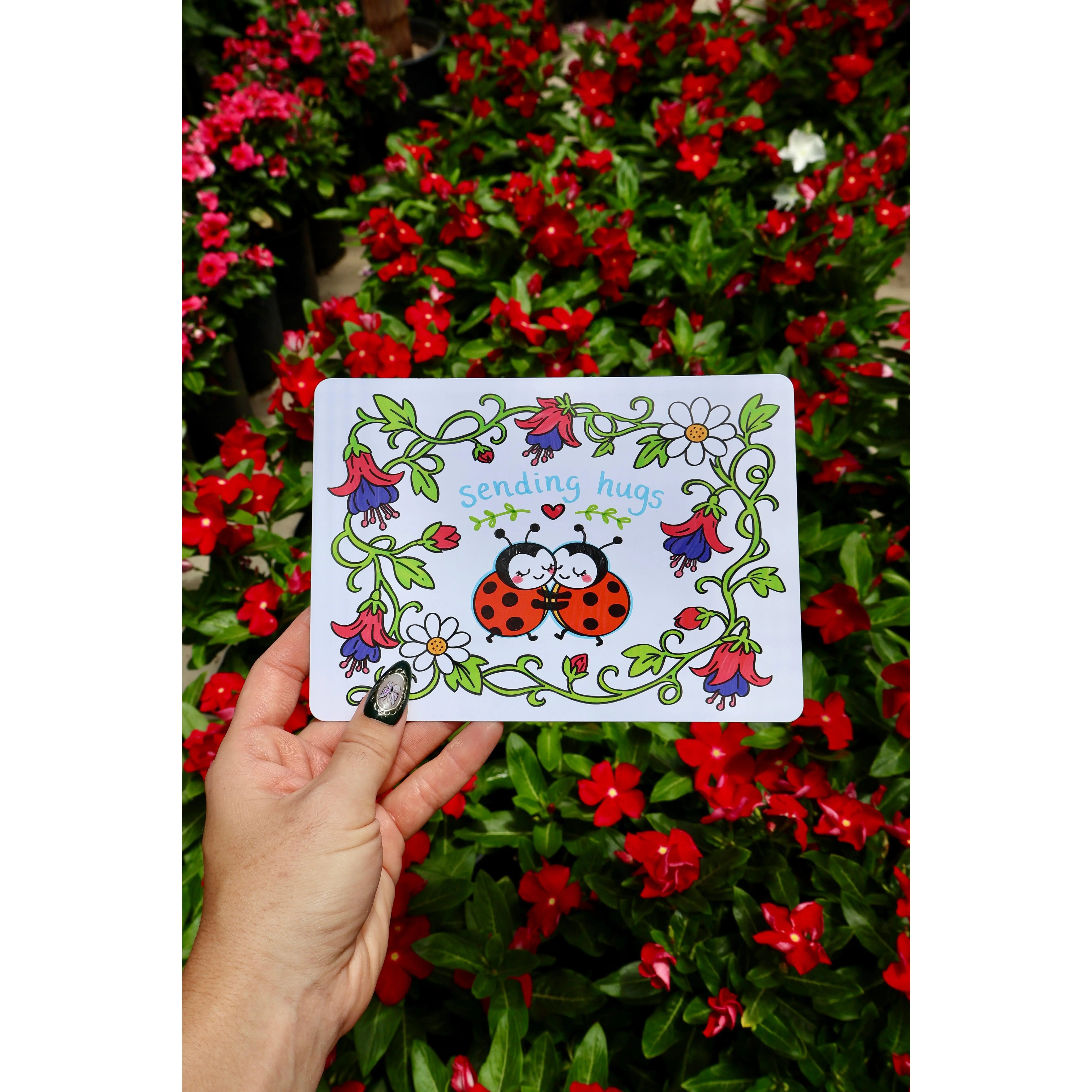 Sending Hugs Ladybug Postcard (7 x 5 in)