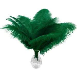 20pcs Natural Blackish Green Ostrich Feathers 10-12 inch (25-30cm) Bulk Feathers for Home Decoration and DIY Clothing and DIY Clothes Decoration, Gatsby Decorations