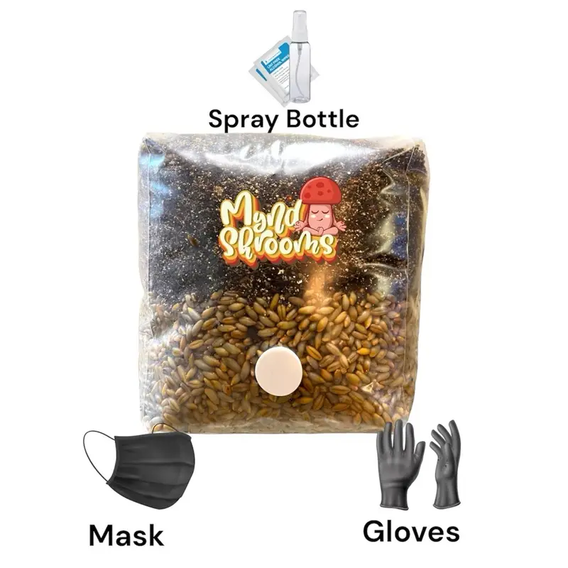 Magic Bag - All in One Growing Kit with Gloves, Face Mask, Mister & Instructions