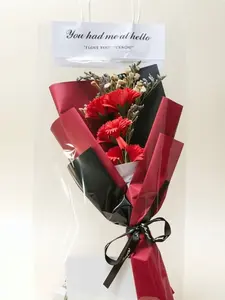 Red carnation bouquet gift bag set—an elegant Mother’s Day gift for Mom, featuring starflower dried flower decorations and a “I love you” greeting card; suitable for Mother’s Day, birthdays, and anniversaries.