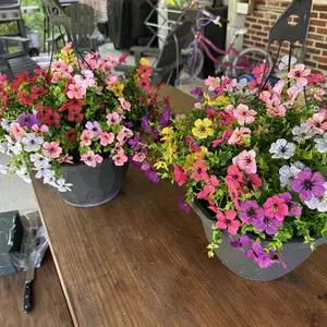 Artificial Flowers for Outdoor Indoor Garden Home Decoration, Faux Flower Daisy with Eucalyptus Leaves Fake Plants Greenery Boxwood Porch Patio, 12 Bundles (Mix Pink Red Purple Yellow)