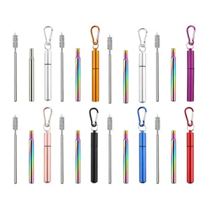 Retractable Stainless Steel Straw Set with Keychain Cleaning Brush Case Portable Collapsible Metal Straw for Travel Cruise Ship Essentials Eco-Friendly Reusable Drinkware