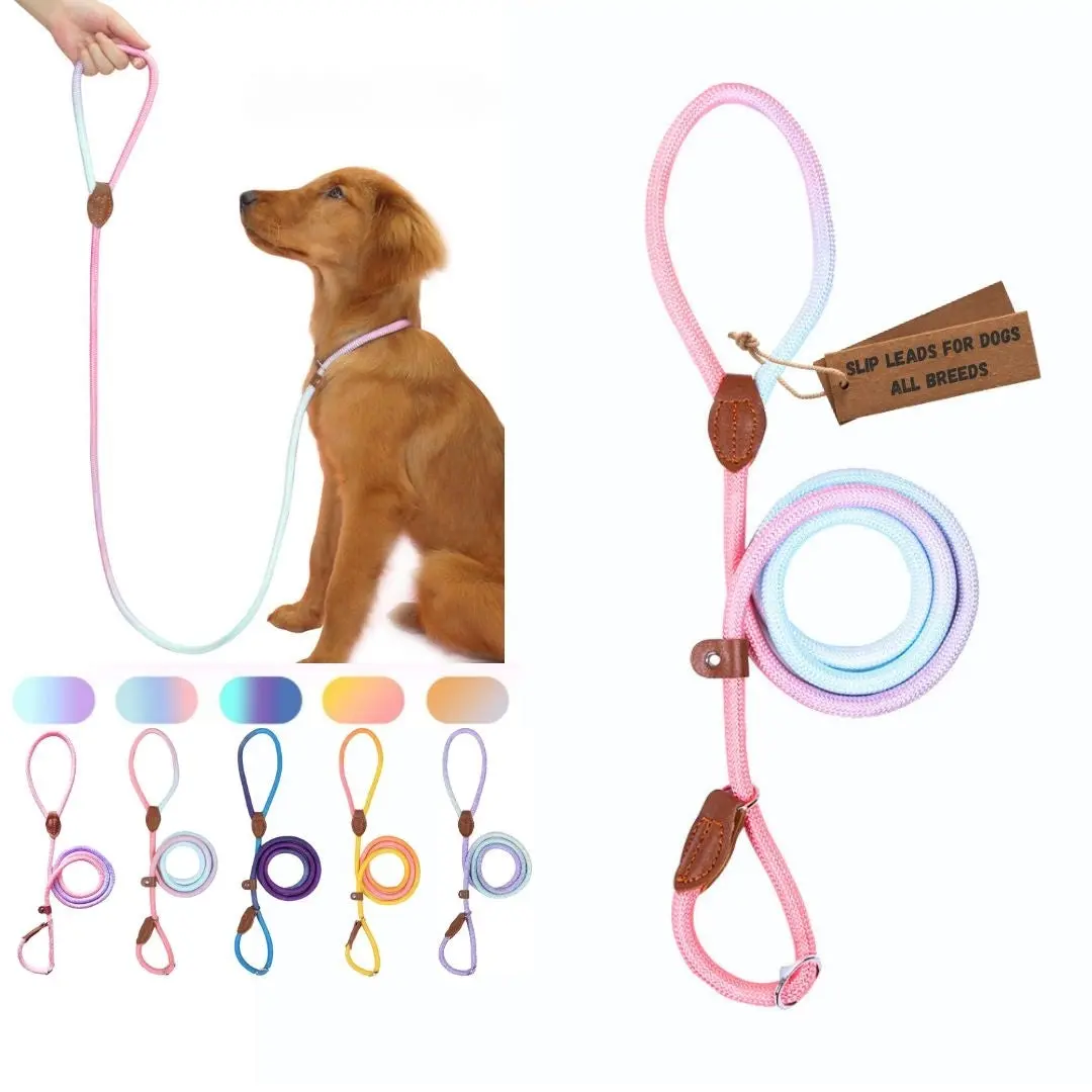 The Quick-Control Training Slip Lead