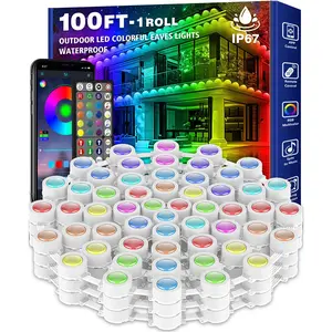 100ft Permanent Outdoor Light,RGB Eaves Lights,DIY Scene Modes IP68 Waterproof Outdoor Under Eave Lighting,led Lights for Decor,Garden Decor,House,Party