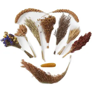 Natural Bedding for Cage Habitat Enclosure Decor Pet Accessories Ethical Hamster Flowers Herbs Sprays Treat Cereal Grain Chews for Dwarf Syrian Gerbils Mice Rat Forage