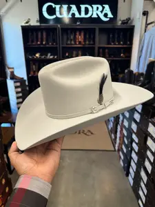 Stetson 6x Skyline Cowboy Felt Hat - Silver Grey