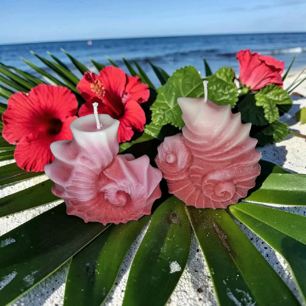 Cozy Chic Neutral Sea Shell Shaped Scented Candles - Beautiful Home Decor Ornaments for Home Supplies and Gifting to Elevate Your Space