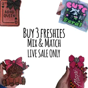 BUY 3 Car Freshies