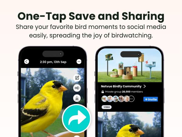 Birdfy Smart Bird Feeder with Camera for Rookie, Camera Bird Feeder Dual Night Vision, AI Recognition IP66 Waterproof for BirdLovers Birdfy Smart Bird Feeder with Camera for Rookie, Camera Bird Feeder Dual Night Vision, AI Recognition IP66 Waterproof for BirdLovers