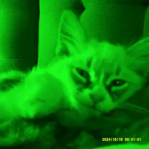 Product Review of Dvc Camera, Full HD 1080P Video Camcorder, 3-Inch Tft LCD Screen, 270° Rotating IPS Display, Includes Remote & 32GB Memory Card from **