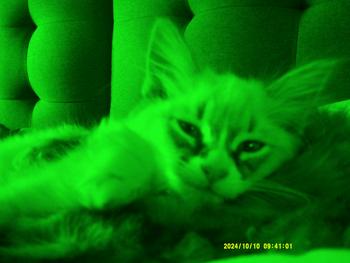 product review image from ️ 0