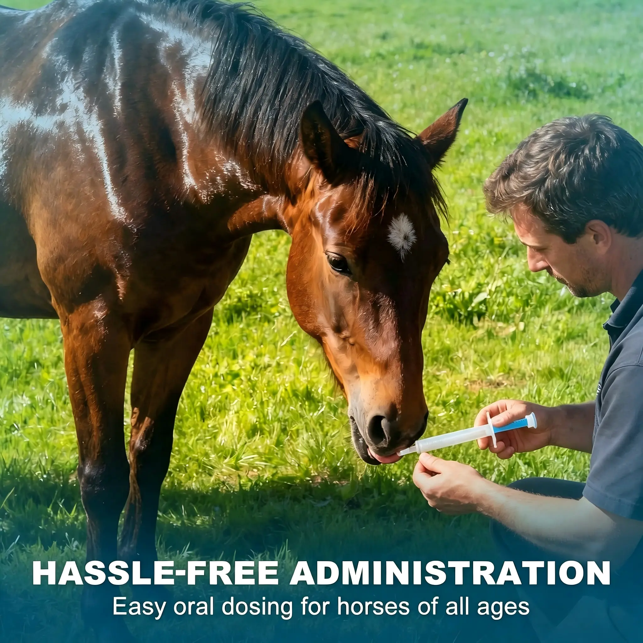 Apples that horses love to eat can control parasites (pinworms, stomach fly larvae) and are suitable for horses of all ages. Farm animal and pet supplies.