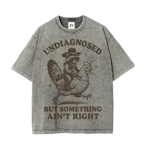 "Undiagnosed But Something Ain't Right" Raccoon T-Shirt | Funny Cowboy Raccoon Riding Chicken Graphic Tee, Vintage Washed Oversized Top, Unisex Streetwear