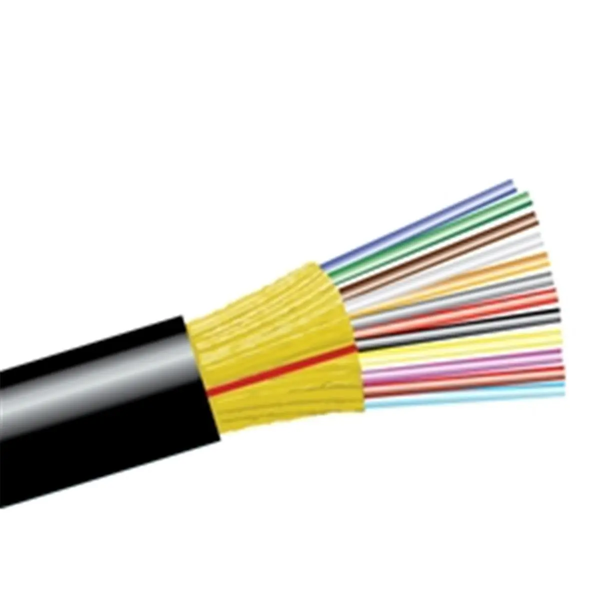 212 MAIN Fiber Optic Connector with Accessories - Riser, Singlemode, Suitable for Indoor/Outdoor Tools & Hardware Applications
