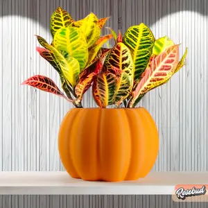 Pumpkin Plant Pot with Drainage and Drip Tray