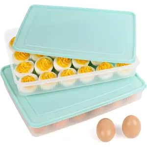 2PCS Deviled Egg Containers with Lid, Portable Storage Carrier Egg Holder Deviled Egg Tray for Refrigerator Easter Party Holding 48 Eggs