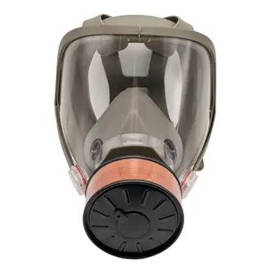 Reusable Anti-Fog Toxic Gas Mask with Filter, Full Face Protection for Painting, Chemicals, DIY, Woodworking, Construction, Sanding, Respirator Mask