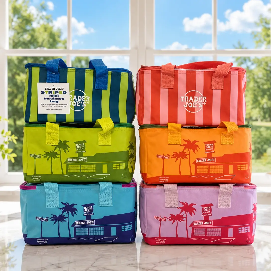 Trader Joe's Mini Insulated Lunch Bag