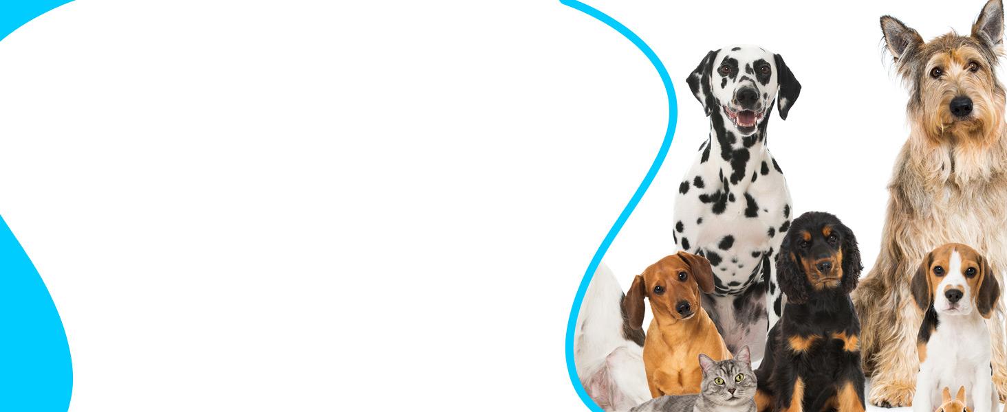 Candure Dog Nail Clippers and Trimmer with Safety Guard to Avoid Over-Cutting Toe Nails Professional Grooming Pet Nail Clipper with Nail File for Small Medium-Large Breeds