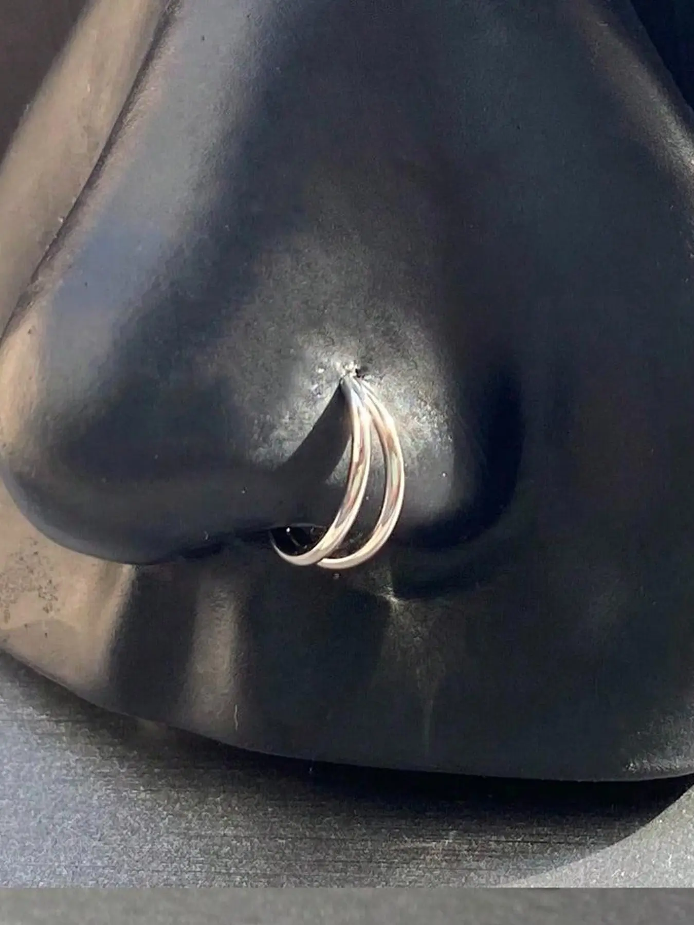 Nose Ring Hoops, Double Nose Ring Clicker, Surgical Steel Cartilage Tragus Daith Helix Conch Earrings, Ear Piercings, Body Piercing Jewelry for Women Men, Helix Pierced Ring, High Quality Jewelry