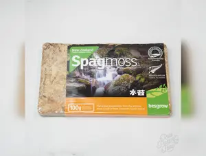 Besgrow Spagmoss 100g compressed brick of sphagnum moss