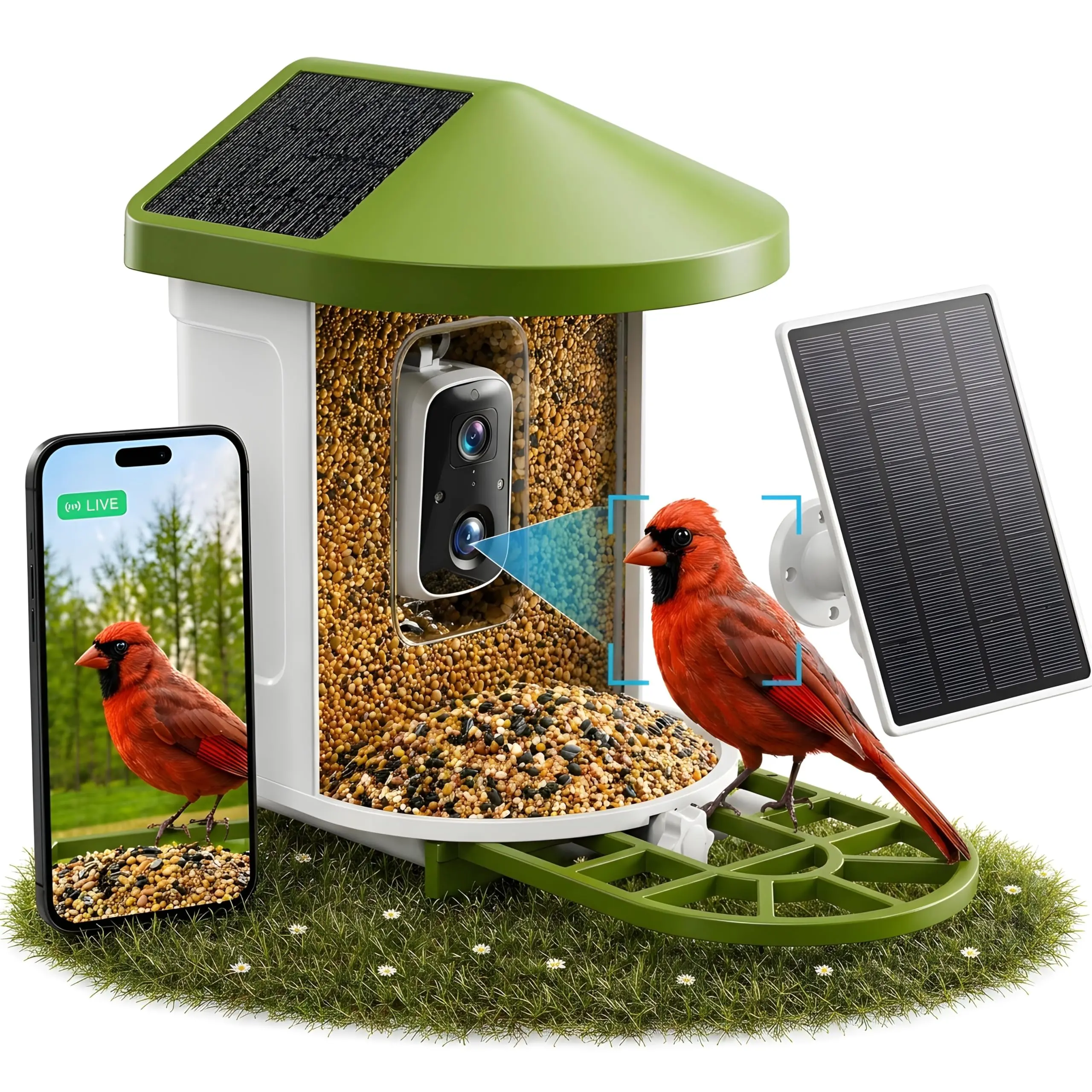 Birvio™ Smart Bird Feeder with Camera, Solar Powered, 1080P HD WiFi Live Stream, AI Bird Identification, Instant Motion Alerts