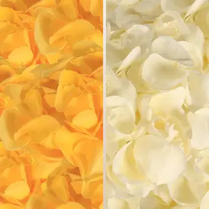 Fresh Rose Petals Yellow and White Imported from Ecuador - 10 Bags for Weddings and Valentine's Day