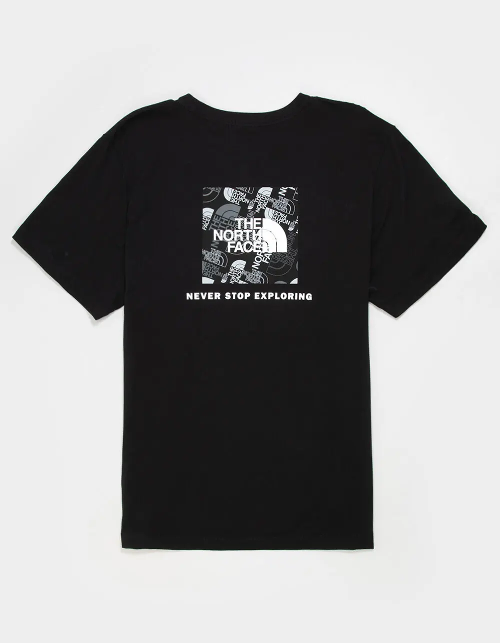 THE NORTH FACE Evolution Box Toss Fill Mens Tee